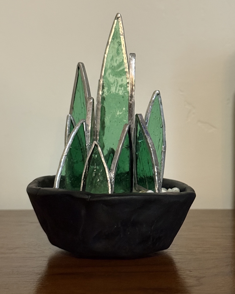 Abstract Agave in Ceramic Vase