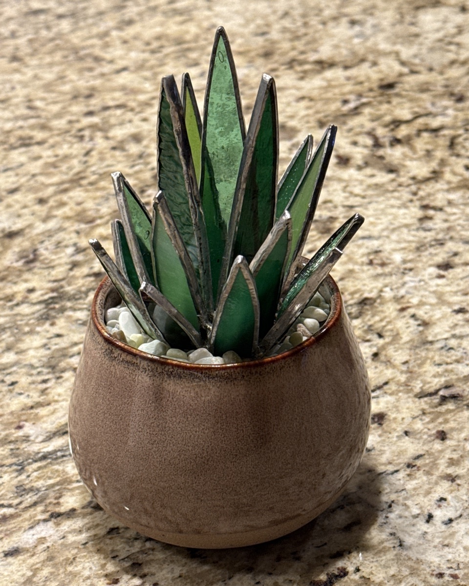 Agave in Ceramic Vase