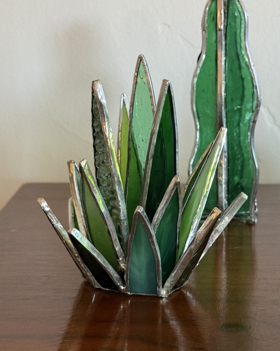 Agave & Saguaro