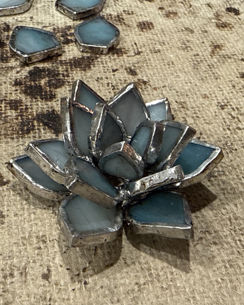 Aqua Succulent
