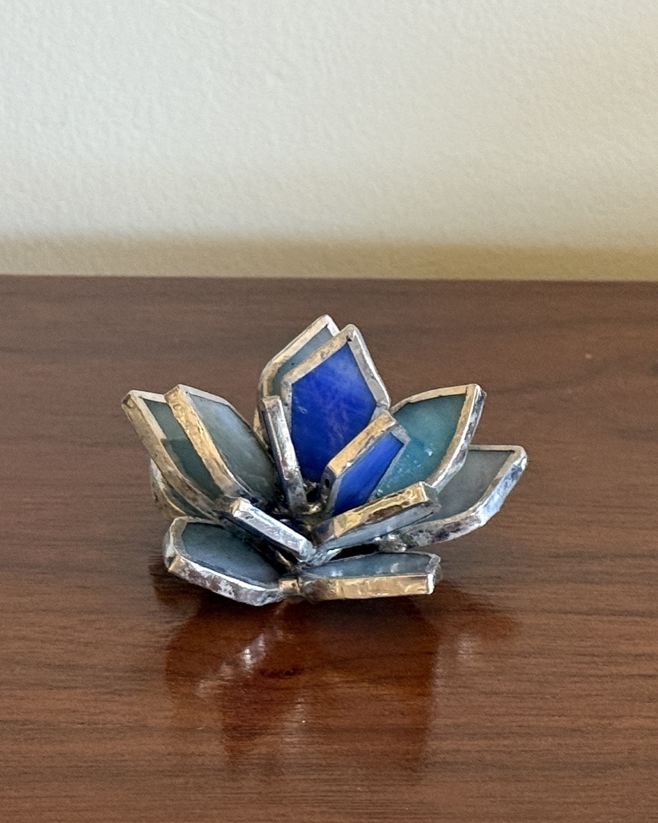 Blue Succulent