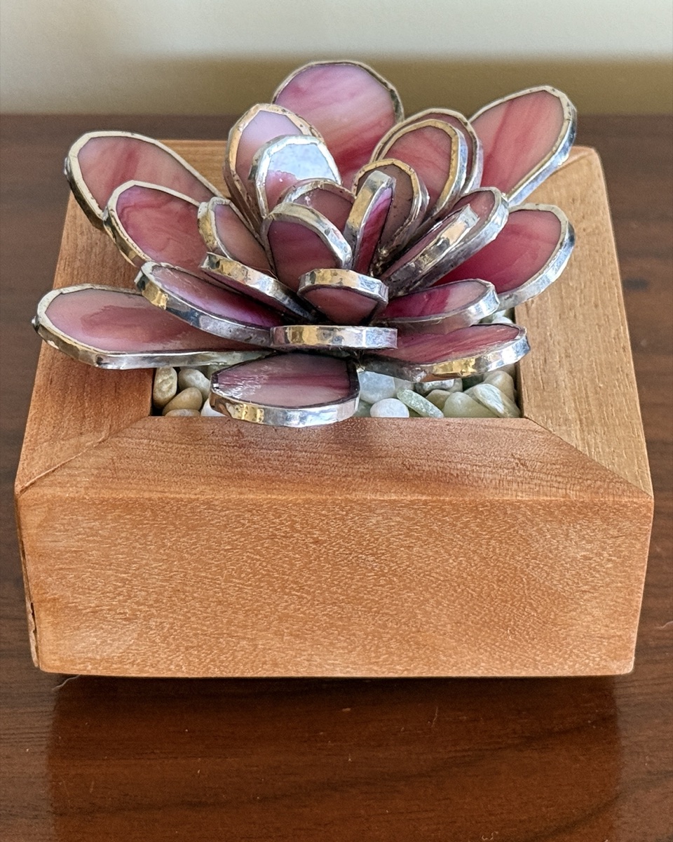 Pink Succulent in Wood Vase