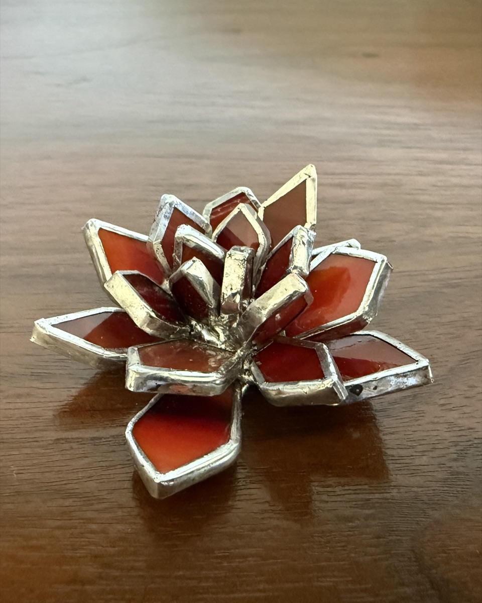 Red Succulent