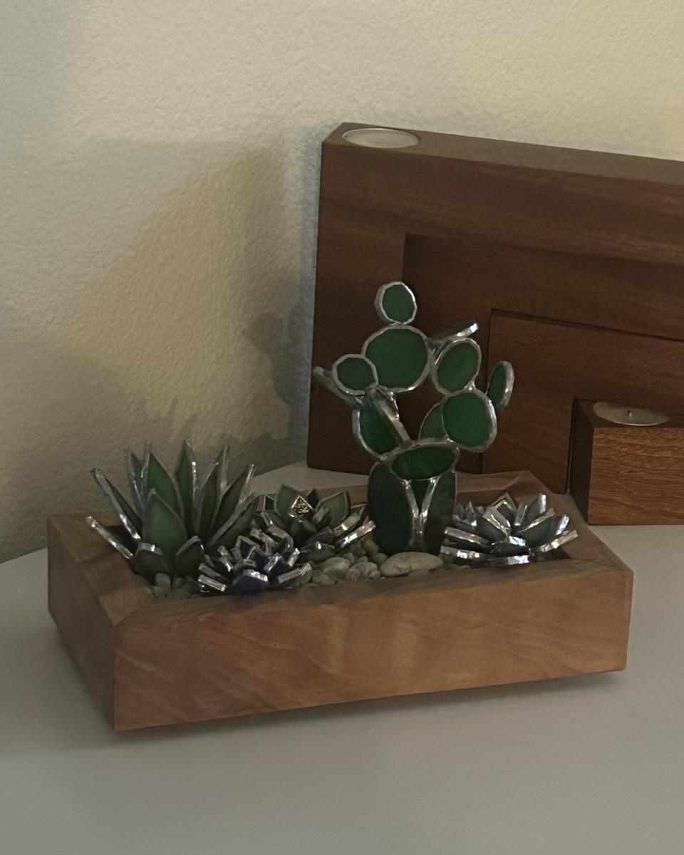 Succulent Garden