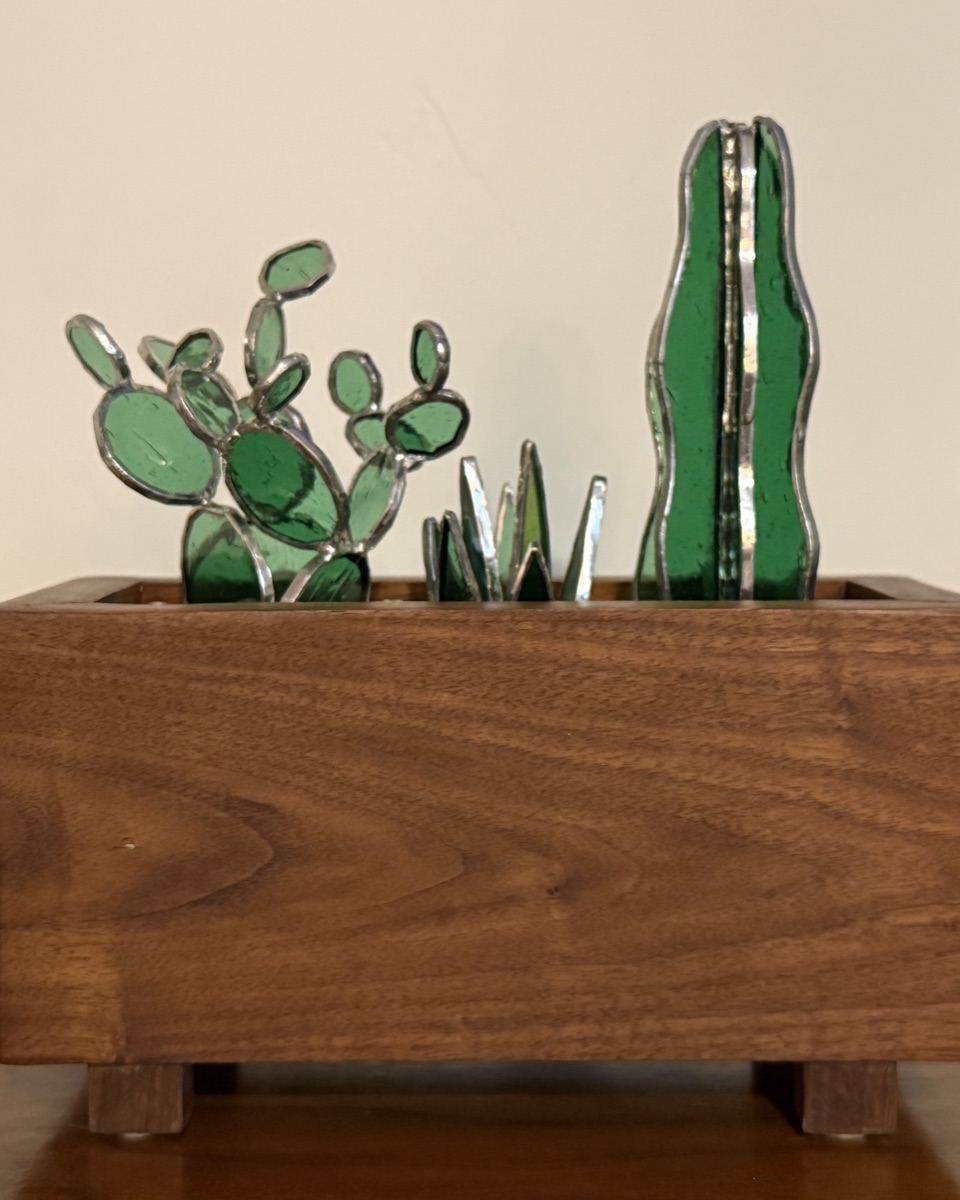 Succulent Garden, Tall Arrangement