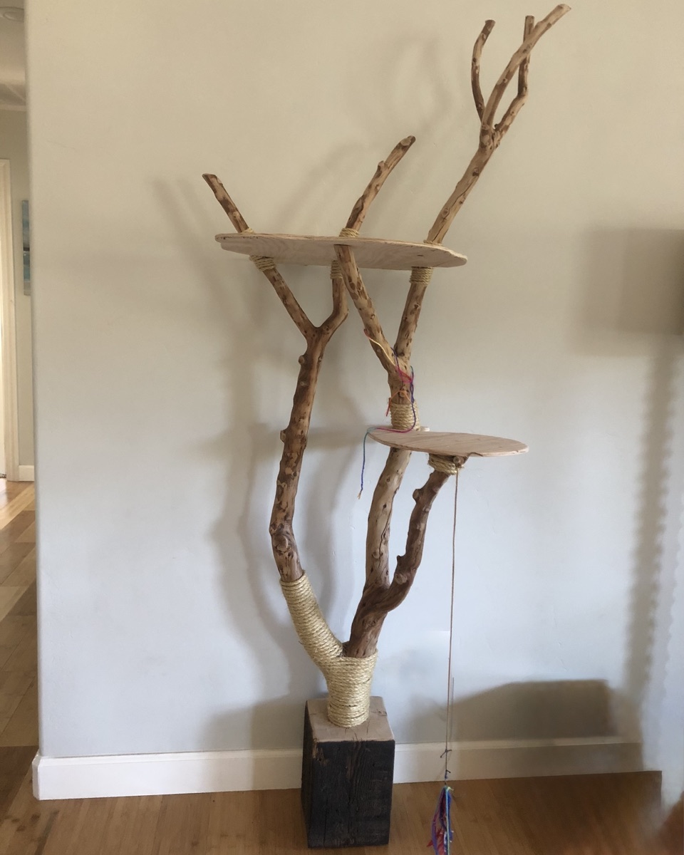 Natural Branch Cat Tree