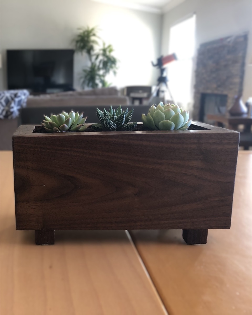 Walnut Planter with Succulent Trio